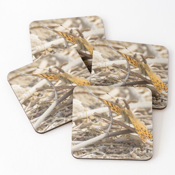 Item preview, Queen of Spain Fritillary designed and sold by LaurenTucker.