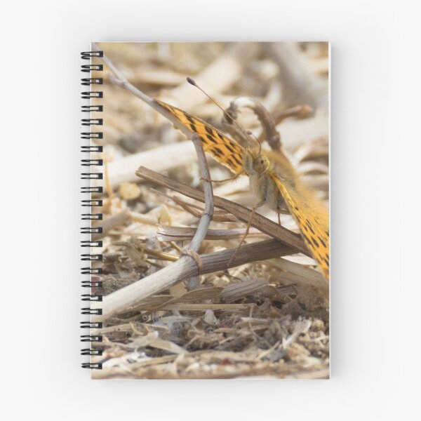 Item preview, Queen of Spain Fritillary designed and sold by LaurenTucker.