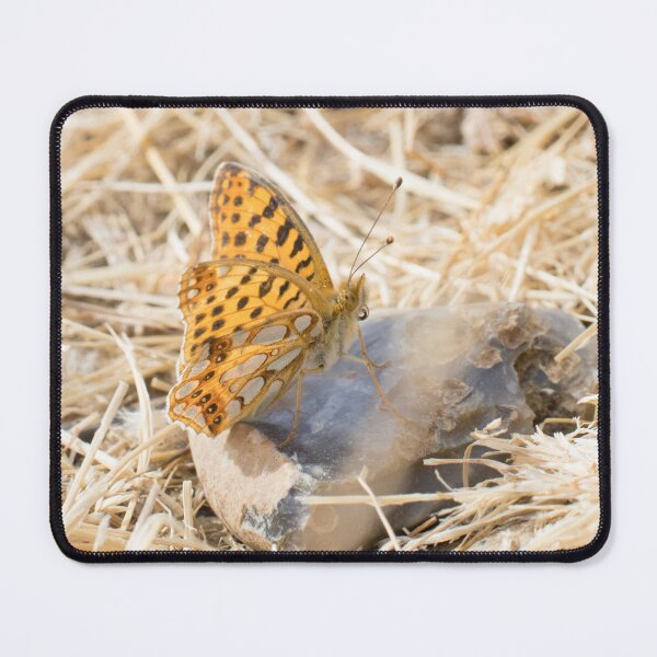 Item preview, Queen of Spain Fritillary designed and sold by LaurenTucker.