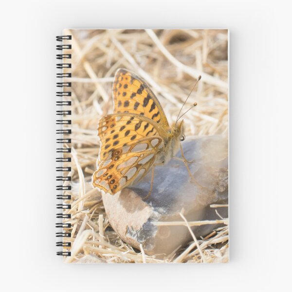 Item preview, Queen of Spain Fritillary designed and sold by LaurenTucker.