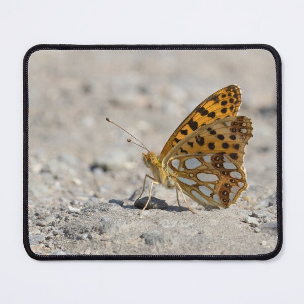 Item preview, Queen of Spain Fritillary designed and sold by LaurenTucker.