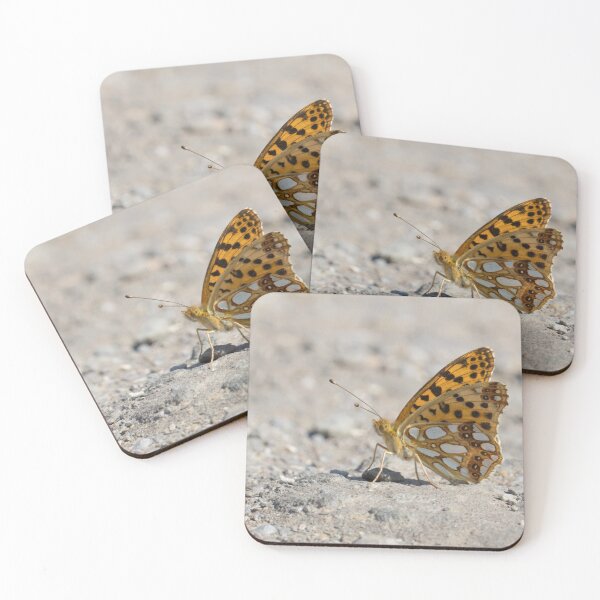 Item preview, Queen of Spain Fritillary designed and sold by LaurenTucker.