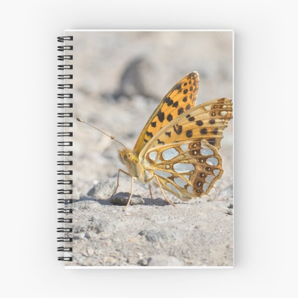 Item preview, Queen of Spain Fritillary designed and sold by LaurenTucker.