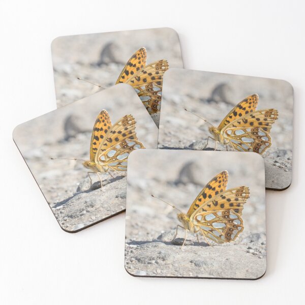 Item preview, Queen of Spain Fritillary designed and sold by LaurenTucker.