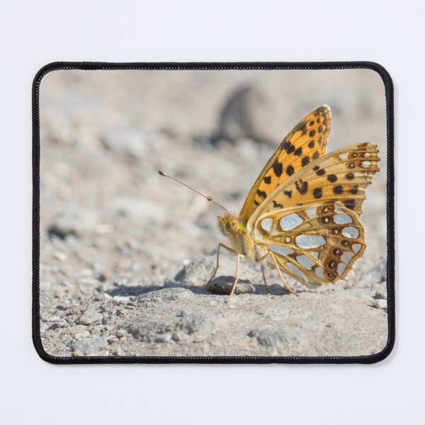 Item preview, Queen of Spain Fritillary designed and sold by LaurenTucker.
