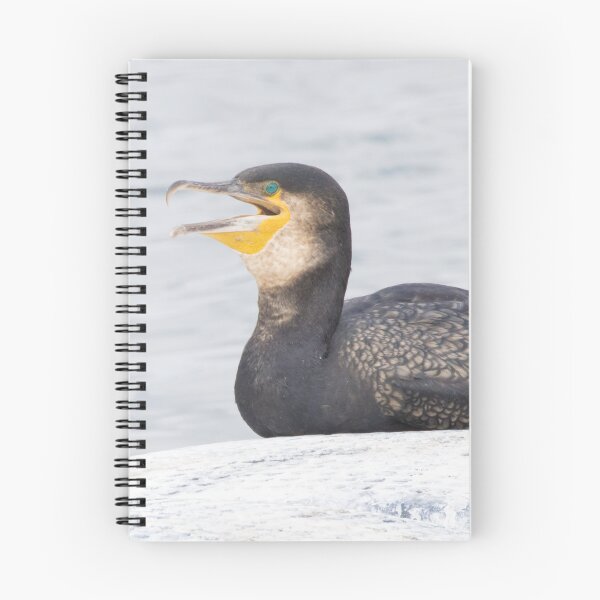 Item preview, Great Cormorant designed and sold by LaurenTucker.