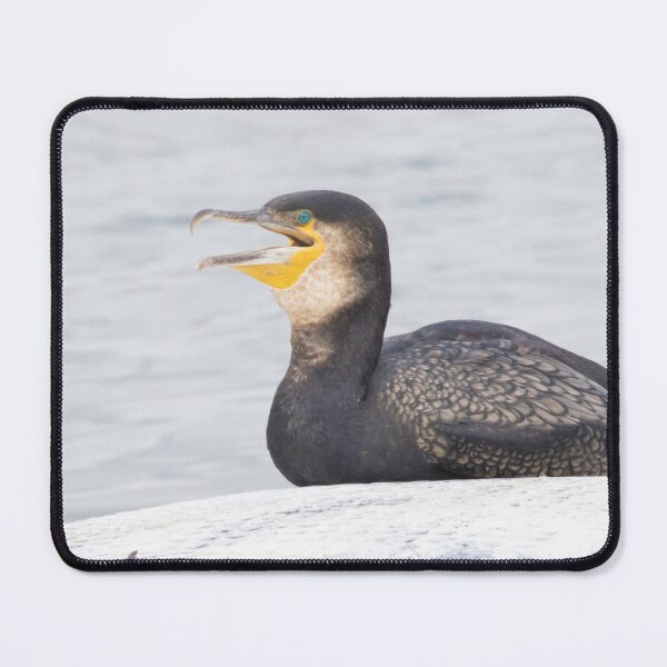 Item preview, Great Cormorant designed and sold by LaurenTucker.