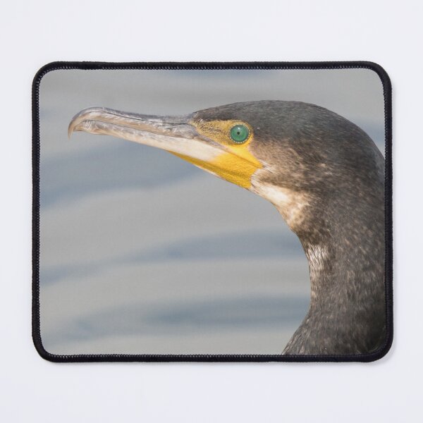 Item preview, Great Cormorant designed and sold by LaurenTucker.