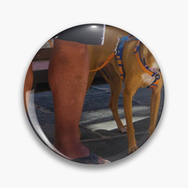 Item preview, Small Tan Dog On Leash Standing Next To Owner's Legs In Sandals On Stone Street designed and sold by Nmallia.