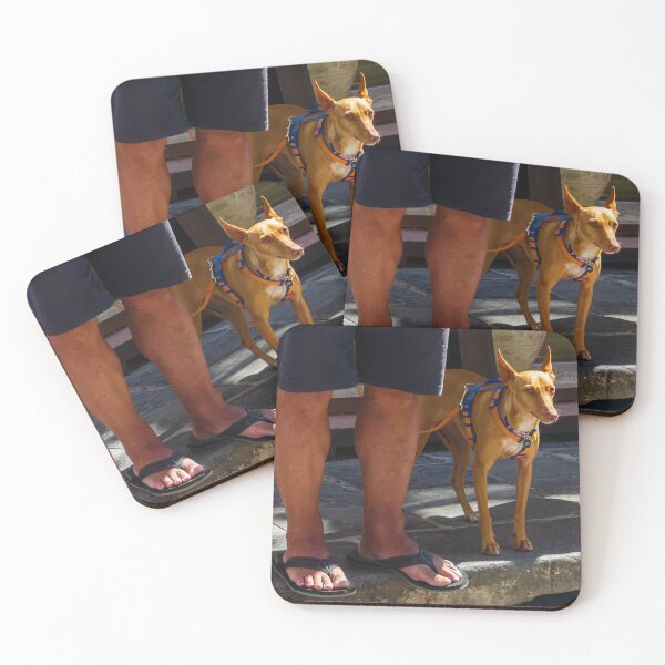 Item preview, Small Tan Dog On Leash Standing Next To Owner's Legs In Sandals On Stone Street designed and sold by Nmallia.