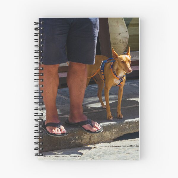 Item preview, Small Tan Dog On Leash Standing Next To Owner's Legs In Sandals On Stone Street designed and sold by Nmallia.
