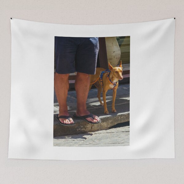 Item preview, Small Tan Dog On Leash Standing Next To Owner's Legs In Sandals On Stone Street designed and sold by Nmallia.