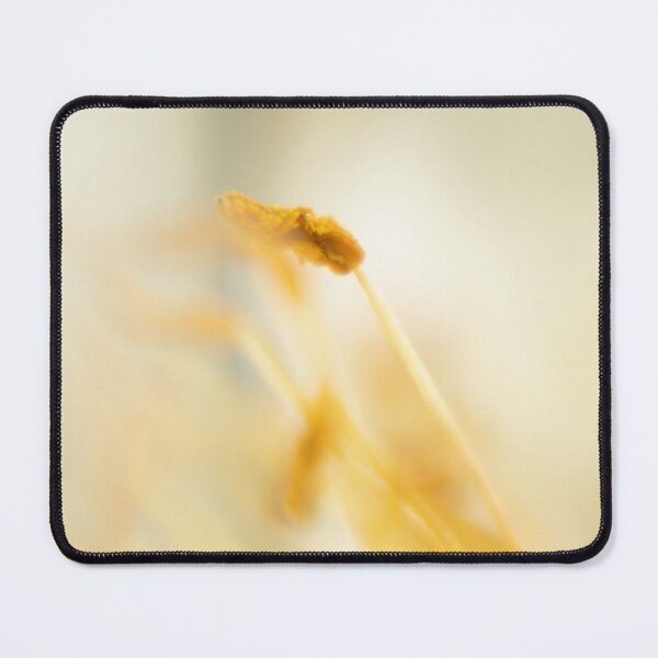 Item preview, Dreamy Golden Grass Macro Photography designed and sold by photossmirnov.