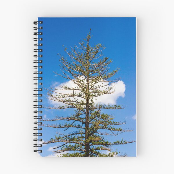 Item preview, Tall Pine Tree Against Bright Blue Sky With White Cloud and Sparse Branches in Nature designed and sold by Nmallia.