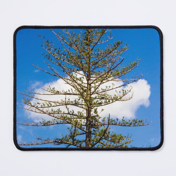 Item preview, Tall Pine Tree Against Bright Blue Sky With White Cloud and Sparse Branches in Nature designed and sold by Nmallia.