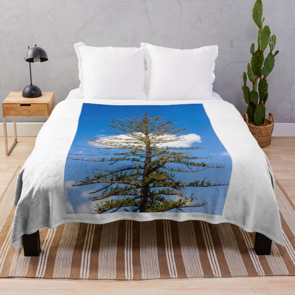 Item preview, Tall Pine Tree Against Bright Blue Sky With White Cloud and Sparse Branches in Nature designed and sold by Nmallia.