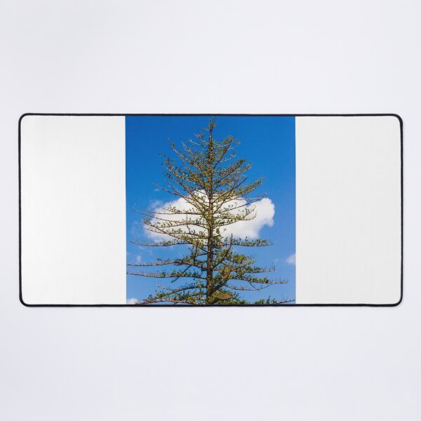 Item preview, Tall Pine Tree Against Bright Blue Sky With White Cloud and Sparse Branches in Nature designed and sold by Nmallia.