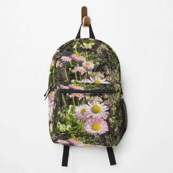 Item preview, Pink and White English Daisies in Dry Soil designed and sold by BalkanBloomArt.