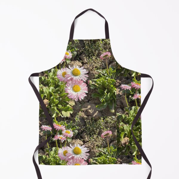 Item preview, Pink and White English Daisies in Dry Soil designed and sold by BalkanBloom.