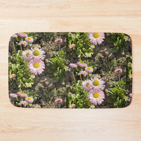 Item preview, Pink and White English Daisies in Dry Soil designed and sold by BalkanBloom.