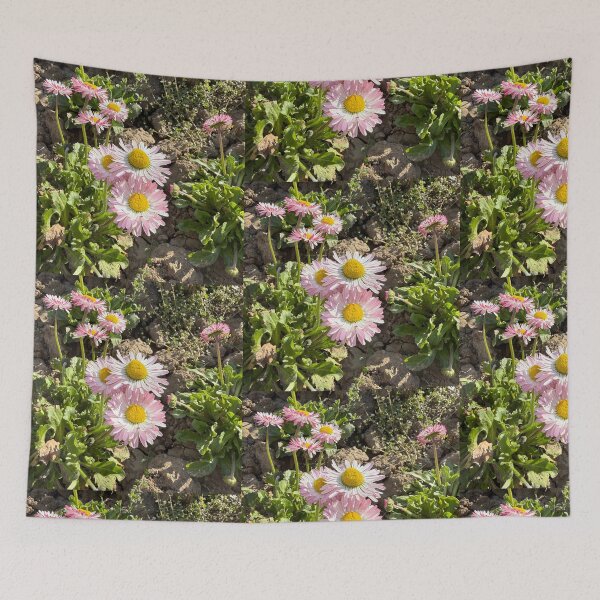 Item preview, Pink and White English Daisies in Dry Soil designed and sold by BalkanBloom.
