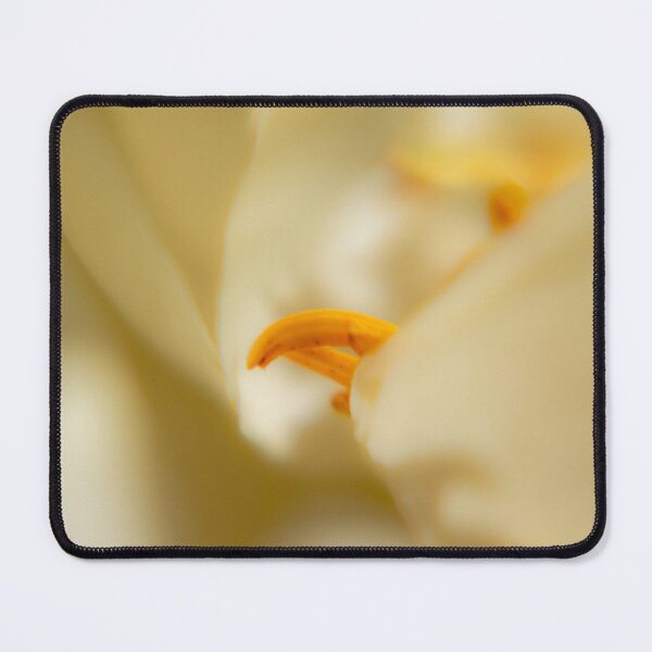 Item preview, White Flower Petals Macro Photography designed and sold by photossmirnov.