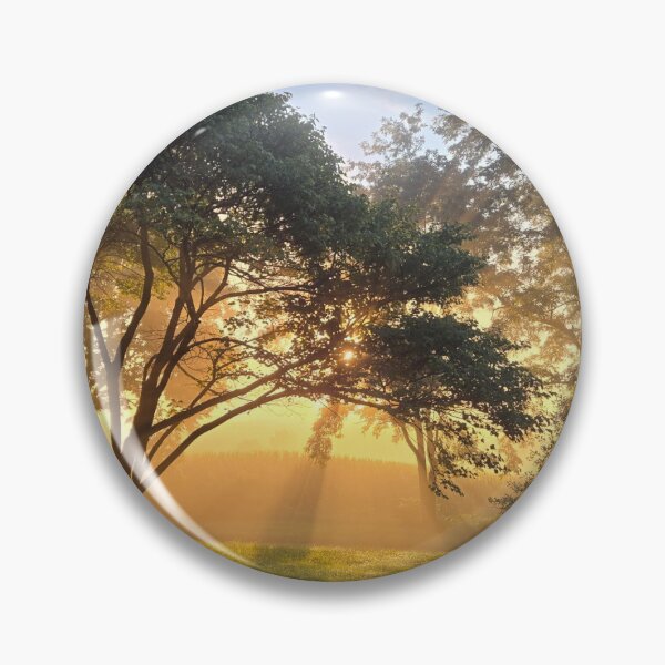 Item preview, Sun through trees designed and sold by AlanaKDrex.