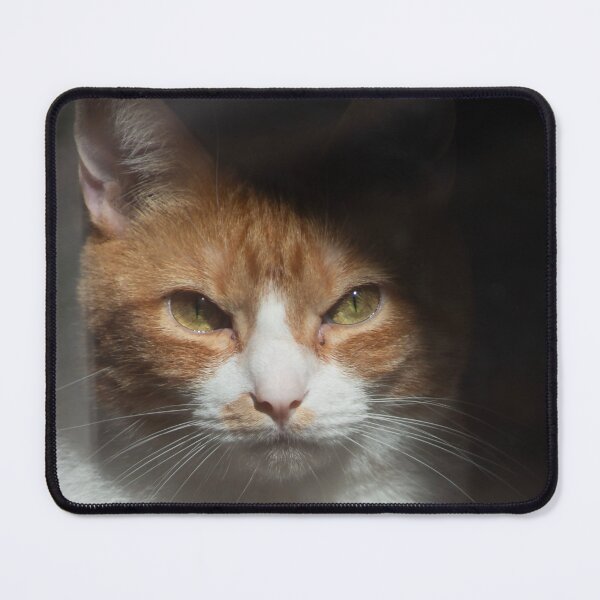 Item preview, Pumpkin watching out Door designed and sold by Perspective Wings.