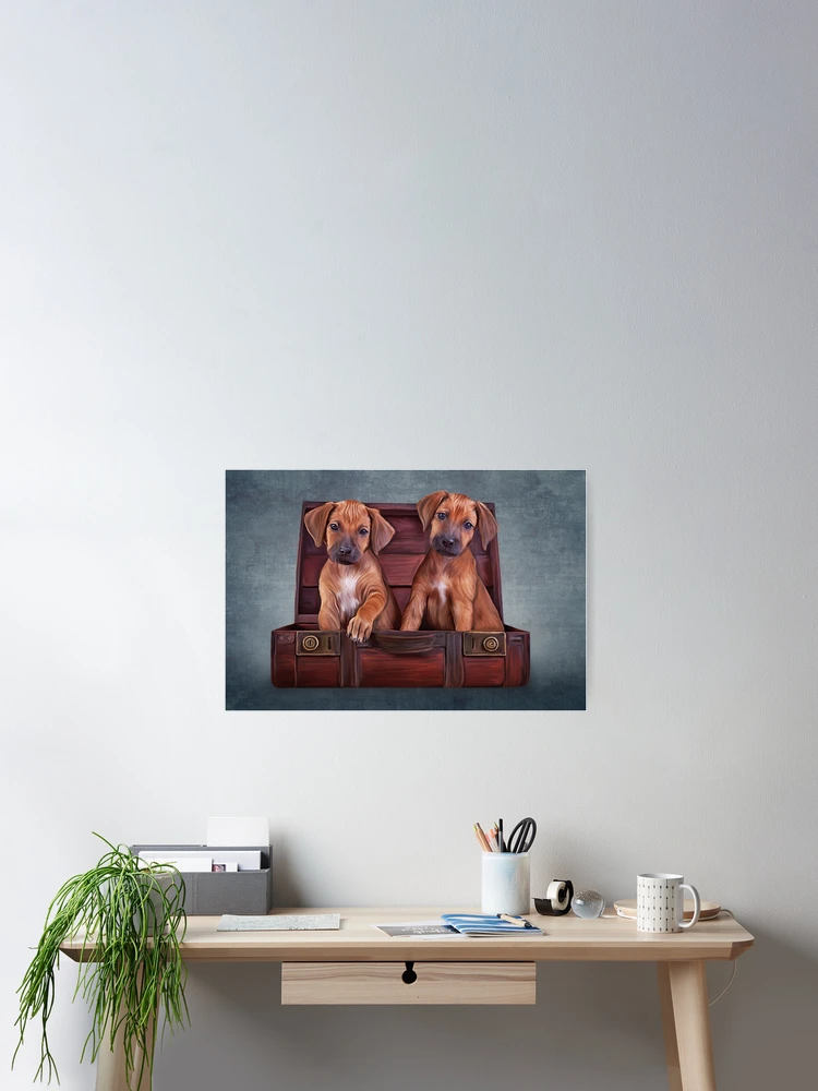 Thumbnail 2 of 3, Poster, Drawing puppies Rhodesian Ridgeback designed and sold by bonidog.