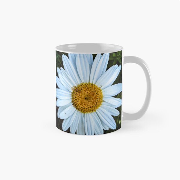 Item preview, Oxeye Daisy, San Fernando Valley, California designed and sold by Douglas E. Welch Design and Photography.
