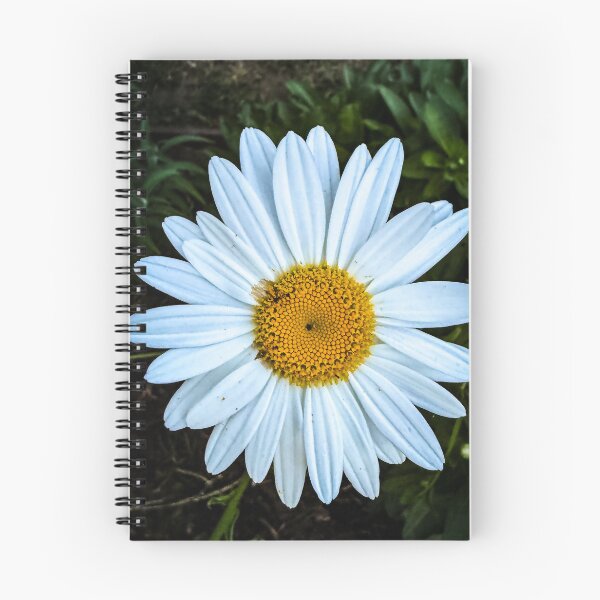 Item preview, Oxeye Daisy, San Fernando Valley, California designed and sold by Douglas E. Welch Design and Photography.