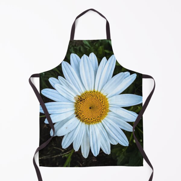 Item preview, Oxeye Daisy, San Fernando Valley, California designed and sold by Douglas E. Welch Design and Photography.