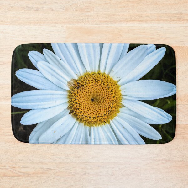 Item preview, Oxeye Daisy, San Fernando Valley, California designed and sold by Douglas E. Welch Design and Photography.