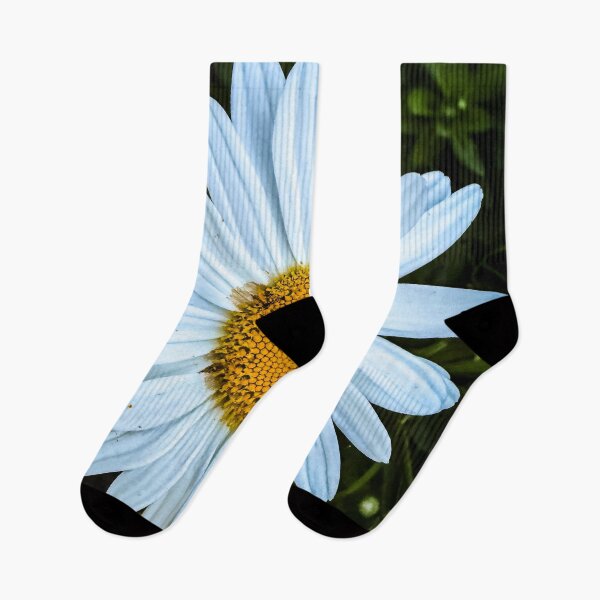 Item preview, Oxeye Daisy, San Fernando Valley, California designed and sold by Douglas E. Welch Design and Photography.
