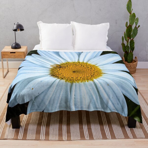 Item preview, Oxeye Daisy, San Fernando Valley, California designed and sold by Douglas E. Welch Design and Photography.