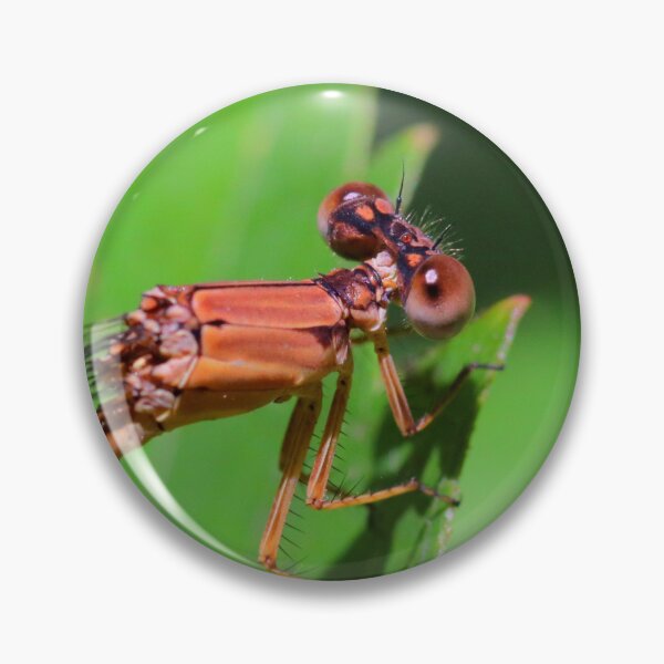 Item preview, Damselfly  designed and sold by Parks and X.