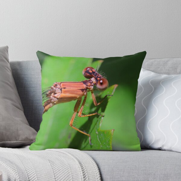 Item preview, Damselfly  designed and sold by Parks and X.