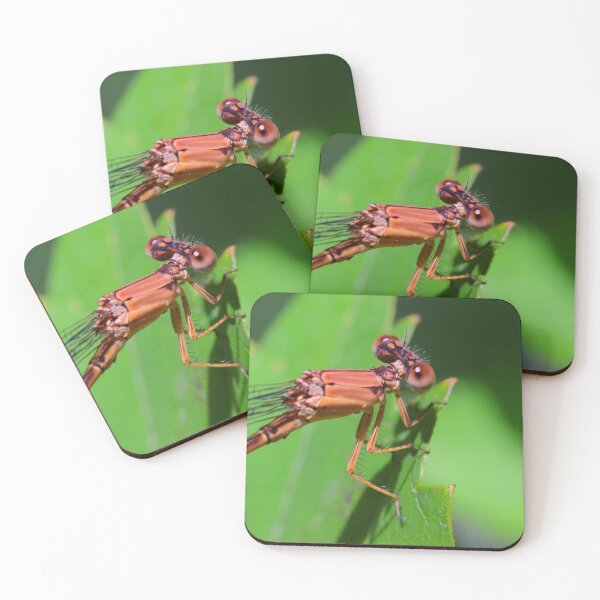 Item preview, Damselfly  designed and sold by Parks and X.
