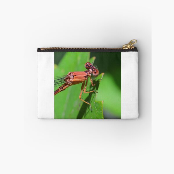 Item preview, Damselfly  designed and sold by Parks and X.