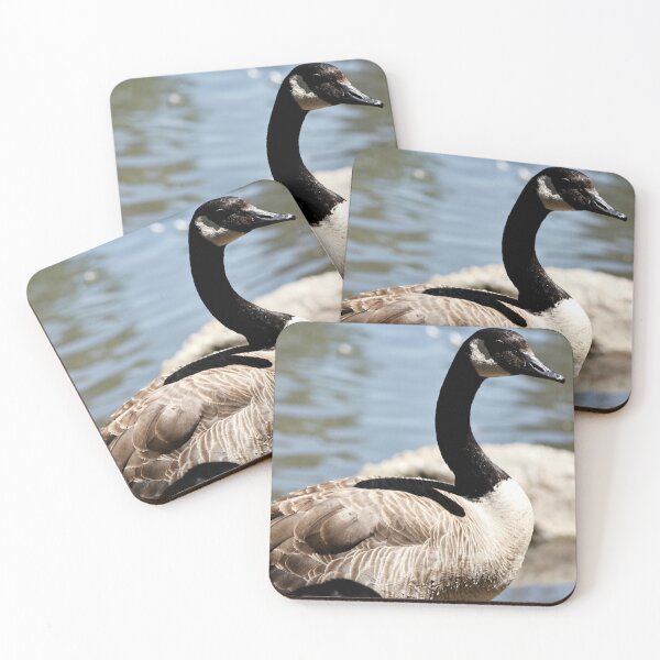 Item preview, Canada Goose Standing on Rock designed and sold by WilesNailsPower.