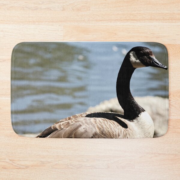 Item preview, Canada Goose Standing on Rock designed and sold by WilesNailsPower.