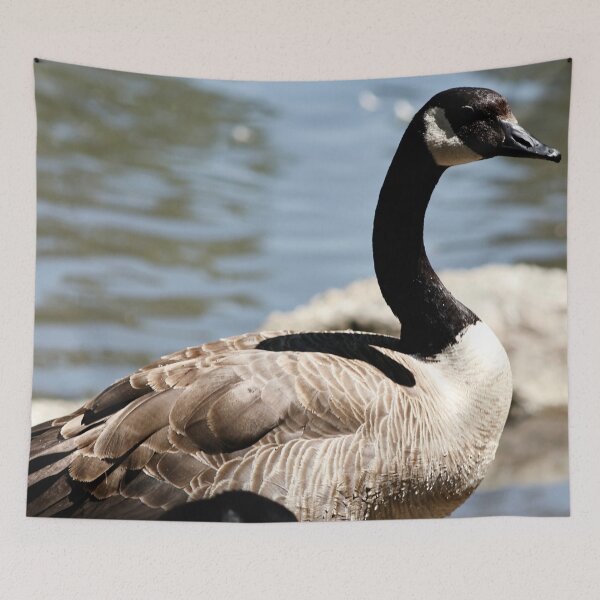 Item preview, Canada Goose Standing on Rock designed and sold by WilesNailsPower.