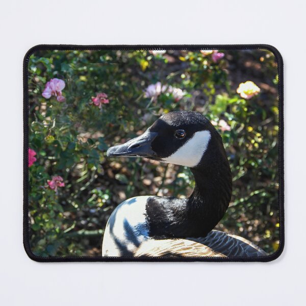 Item preview, Goose in the Garden designed and sold by heatherfriedman.