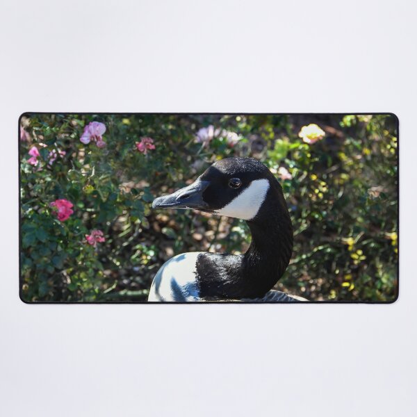 Item preview, Goose in the Garden designed and sold by heatherfriedman.