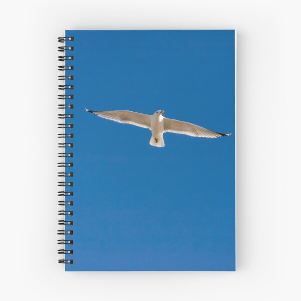 Item preview, Minimalist Seagull in Flight Against Clear Blue Sky designed and sold by photossmirnov.