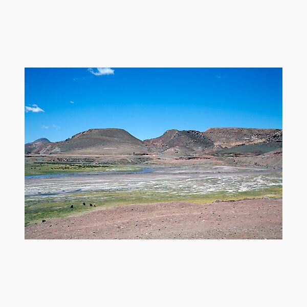 Item preview, The Andean Altiplano, Paso de Jama, Argentina designed and sold by Travelimages.com.au.