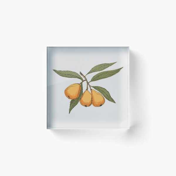 Item preview, Loquat – Rare Exotic Fruit | A Sweet Little Obsession designed and sold by AgnieshkaSiwek.