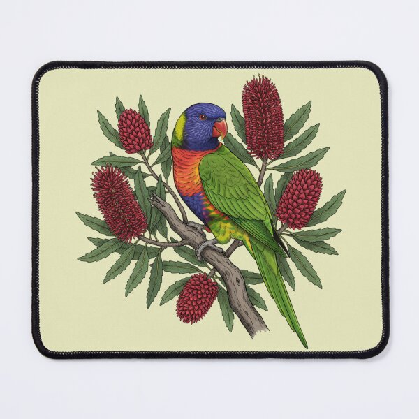 Item preview, Rainbow Lorikeet and Red Banksia Floral Art designed and sold by BirdsnStuff.