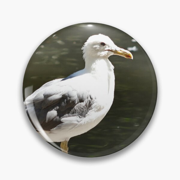 Item preview, California Seagull on top of Rock designed and sold by WilesNailsPower.