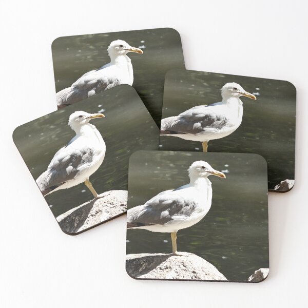 Item preview, California Seagull on top of Rock designed and sold by WilesNailsPower.